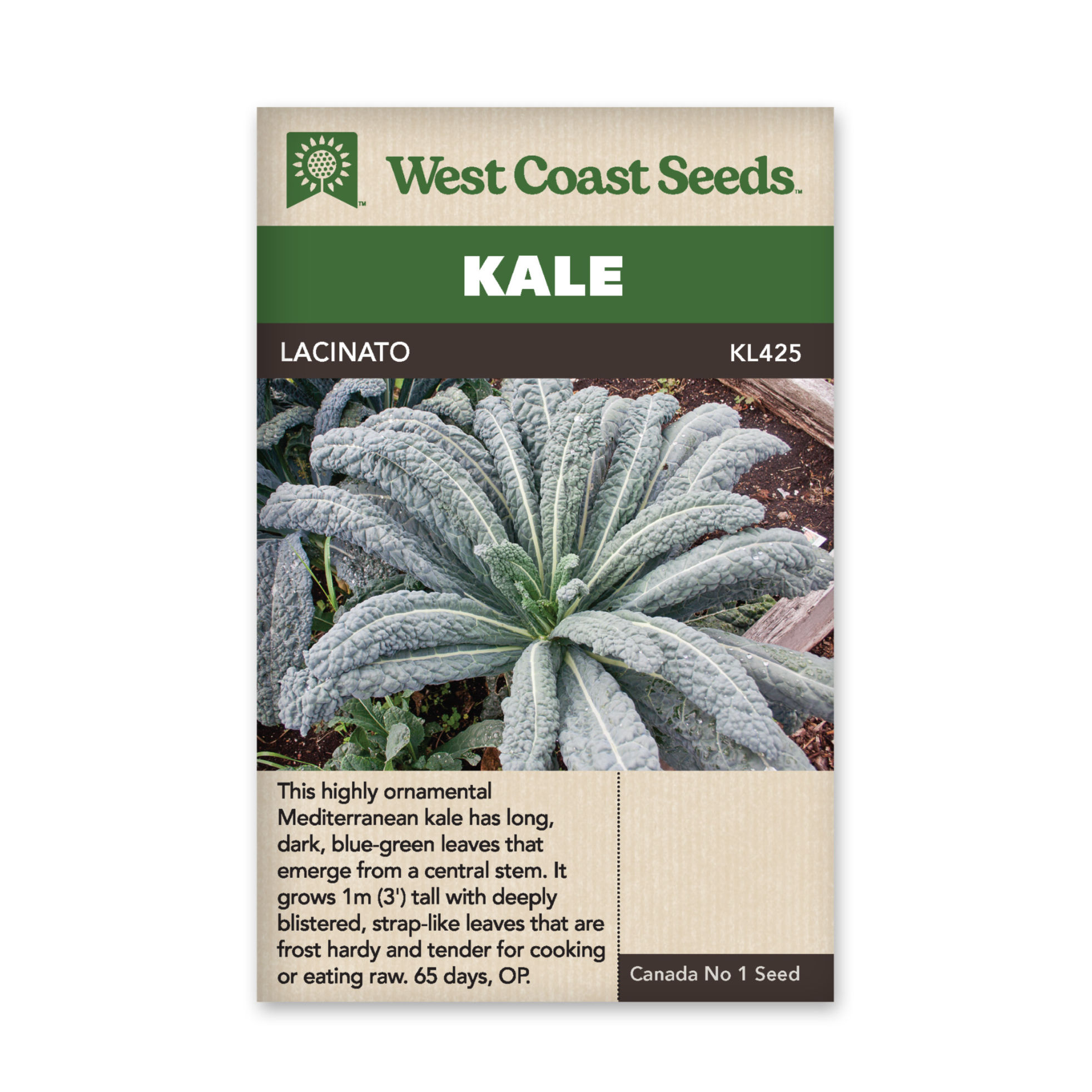 West Coast Seeds Lacinato Kale Seeds, Per Package