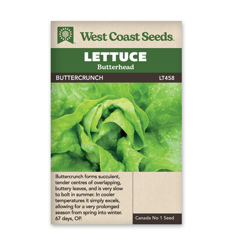 west-coast-seeds-buttercrunch-lettuce-seeds-per-package-alternative