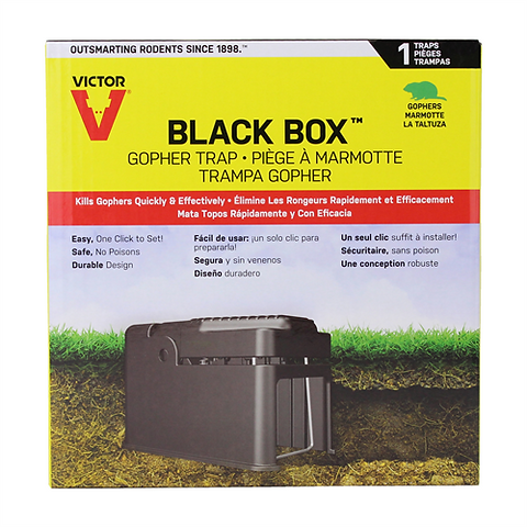 Victor Gopher Trap Black Box, each | Alternative Choice Garden