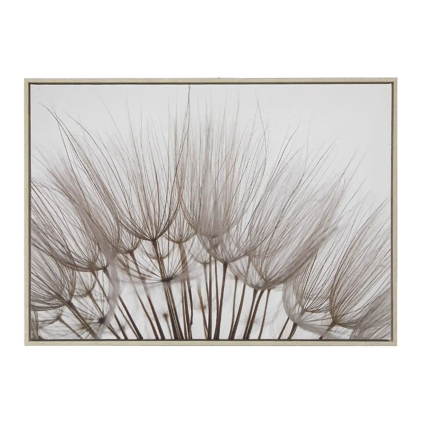 Framed Canvas Wall Art Fluffy Dandelion Flower, each