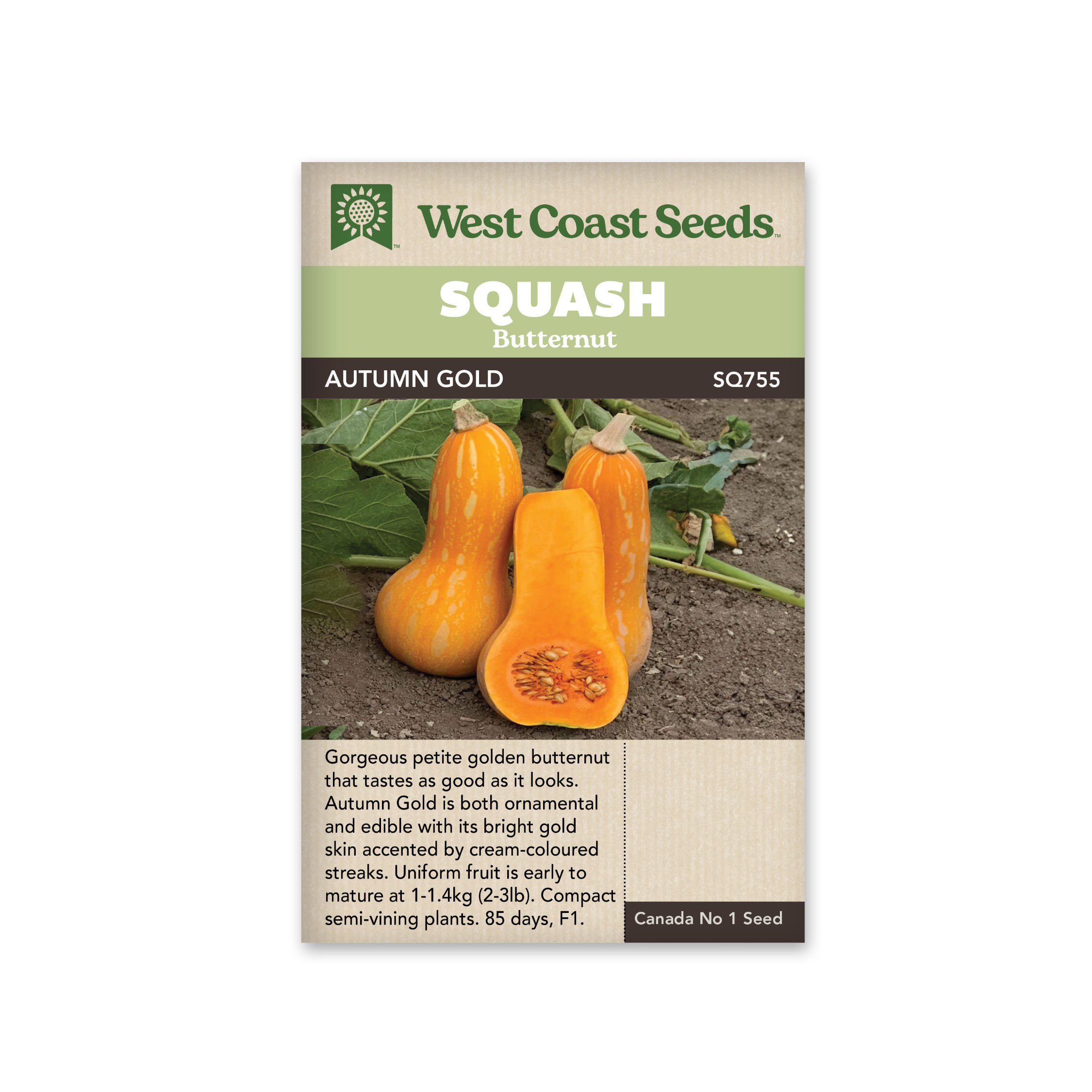 West Coast Seeds Autumn Gold F1  Squash-Winter Seeds, Per Package