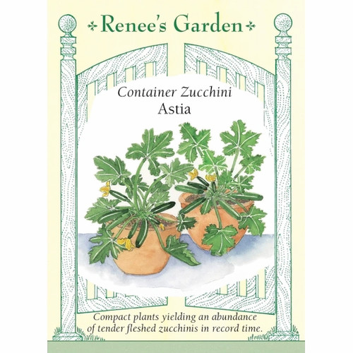 Renee's Garden Astia Container Zucchini Squash Seeds, Per Package
