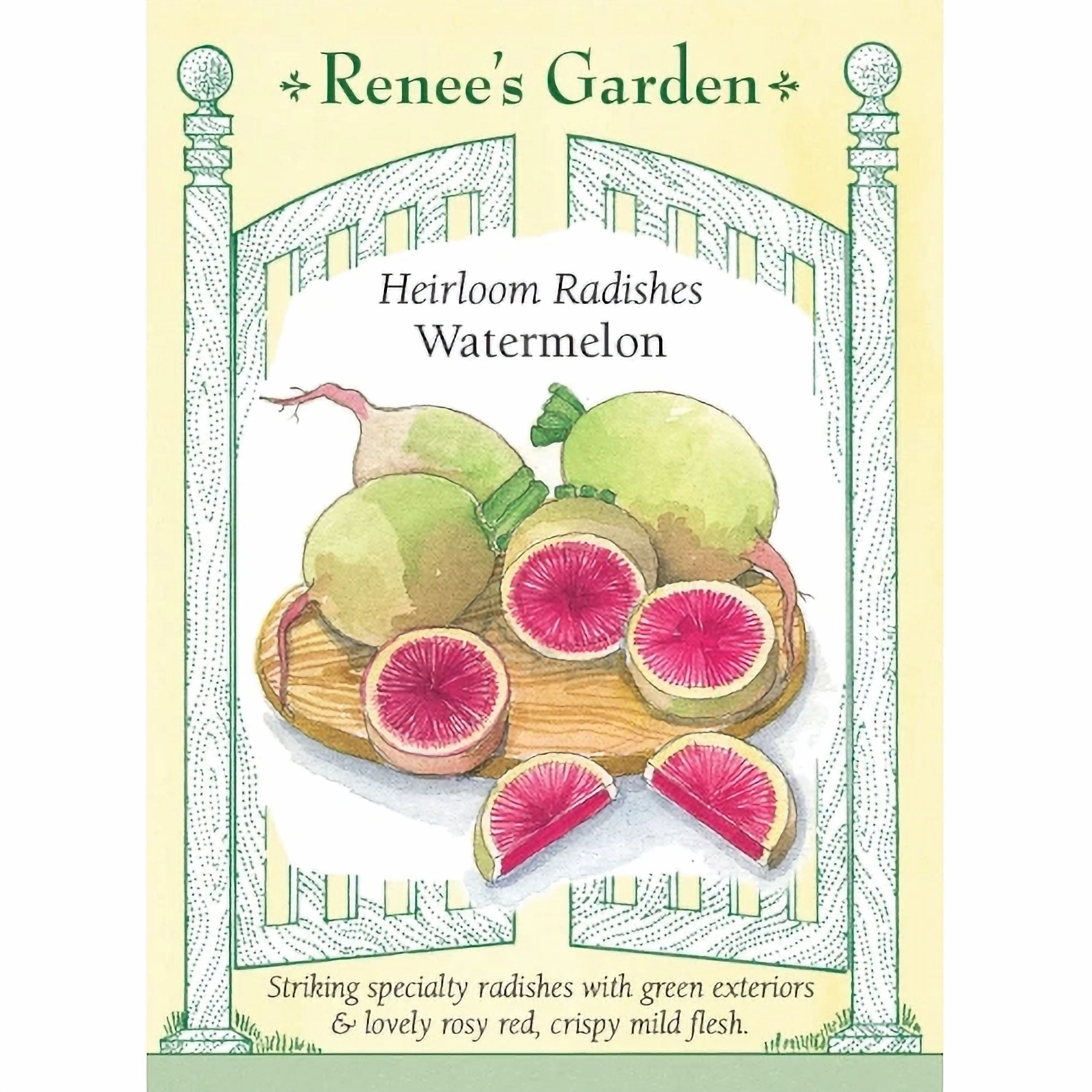 Renee's Garden Watermelon Radish Seeds, Per Package