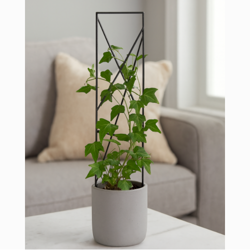 Thumbnail: 28" Indoor Trellis (Assorted Varieties), each
