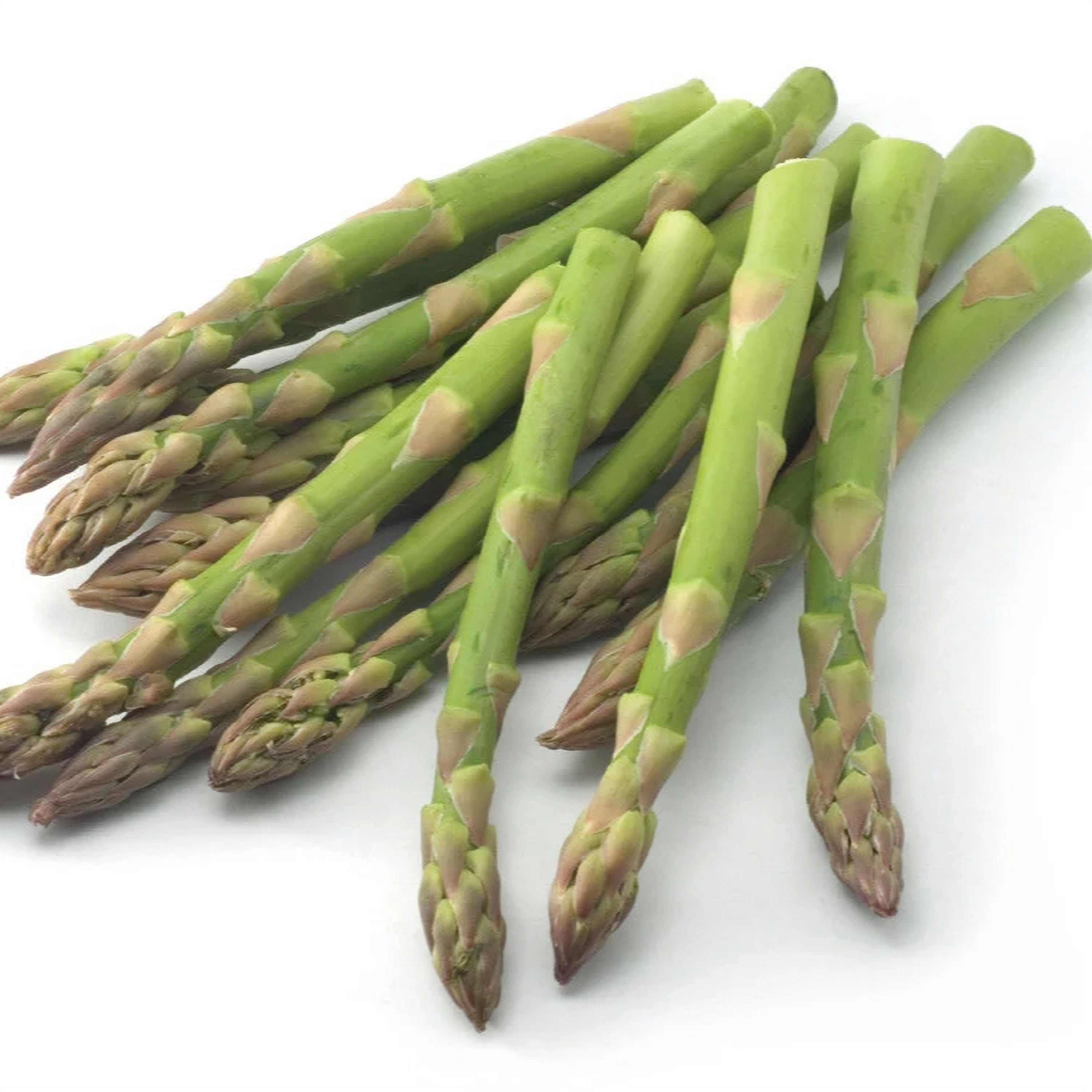 Eclipse Asparagus, 5" Pot