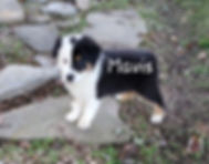 20191027_180201.jpg