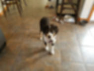 Resized_20181211_114004.jpeg