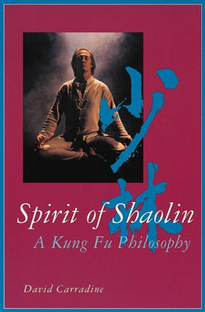 spirit of shaolin.jpg