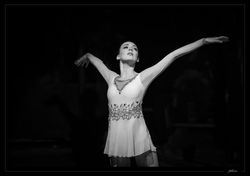 Photos Spectacle Cirque sur glace