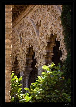 Zaragoza
