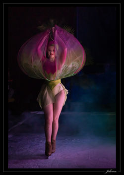 Photos Spectacle Cirque sur glace