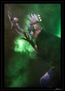 Photos Spectacle Mère Dragon