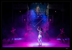 Photos Spectacle Cirque sur glace