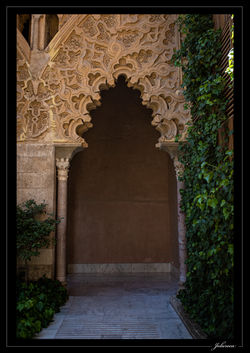 Zaragoza