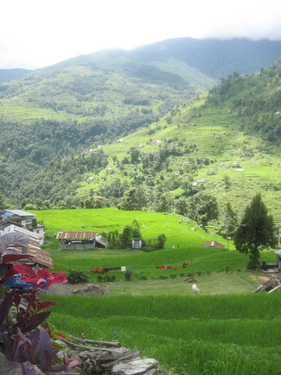 View over the valley