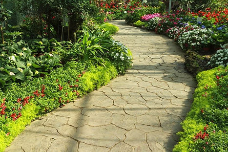 nettoyage allées jardin.jpeg