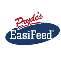 Untitled design (19).png