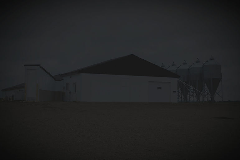 Swine%2520Research%2520Barn_Nursery_Edit