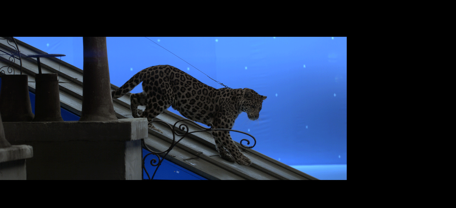 Cartier_05.gif