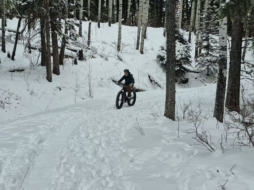 Fat Biking en las Rockies Canadienses: Nuestra Aventura en la Nieve