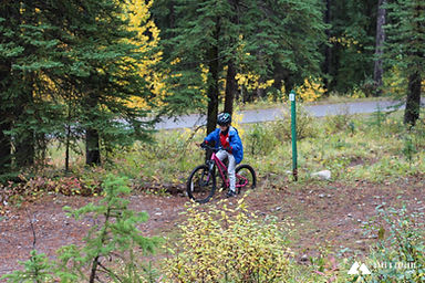 MTB 101 Lesson