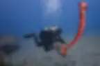 padi-open-water-dive-center_edited.png