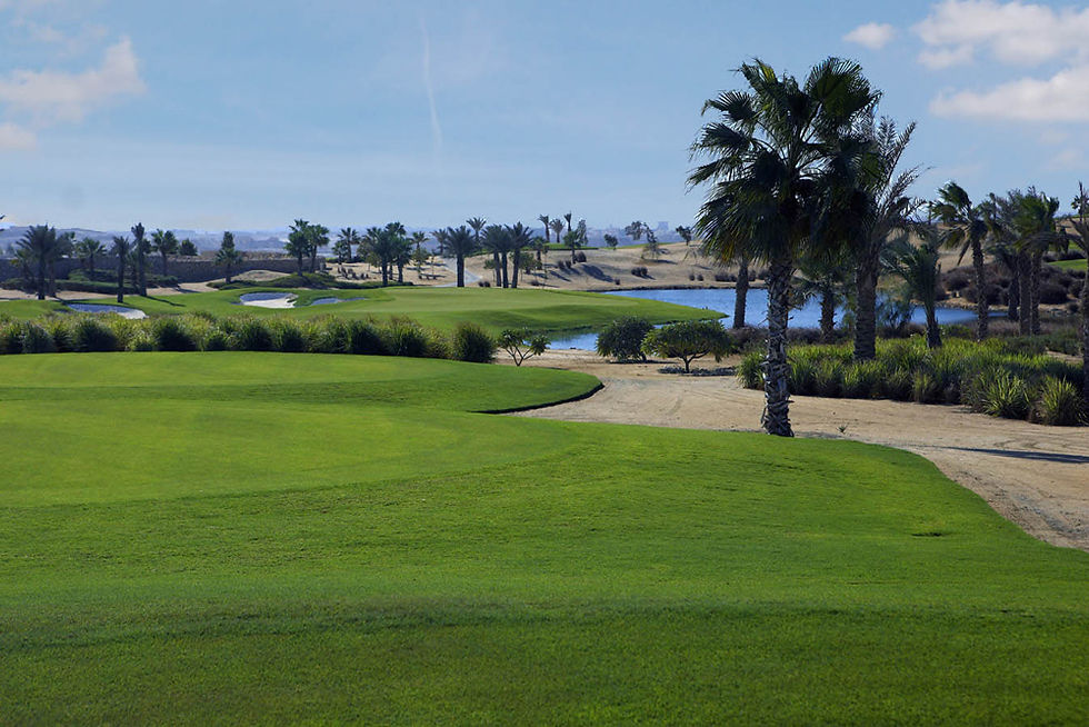 2-palm-hills-hole-2b