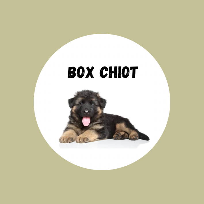 PuppyBag dĂ©couverte đ¶đŒ