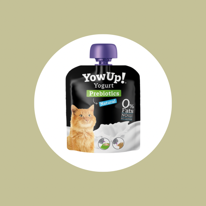 Yow up chat nature 🍦