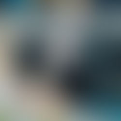 Kfz Gutachten bei Import- und Exportfahrzeugen