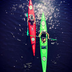 907A415D-F0B7-4E47-877C-2710860F5648_1_105_c.jpeg