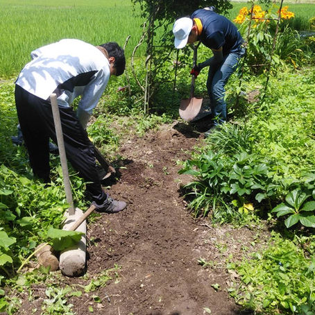 ６月のしごとや