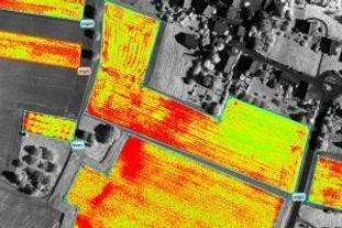thermal imaging.jpg