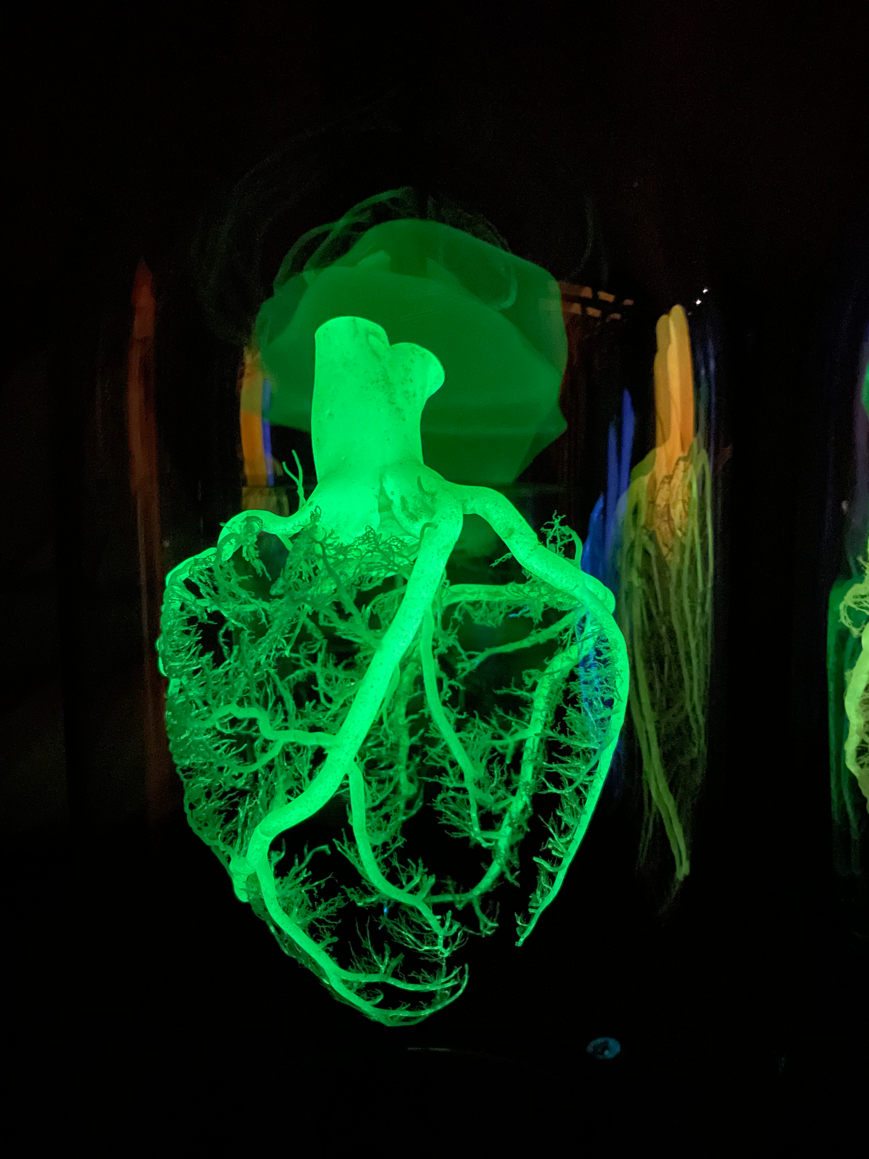 Green glow in the dark heart