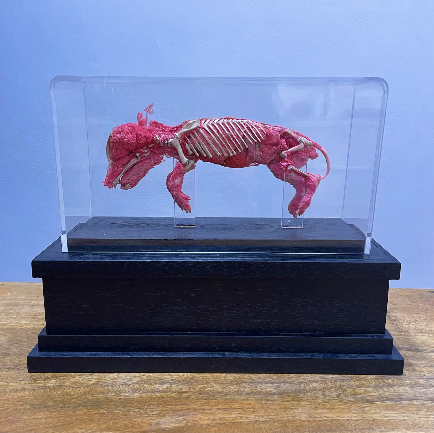 Custom order corrosion cast piece. The perfect gift?