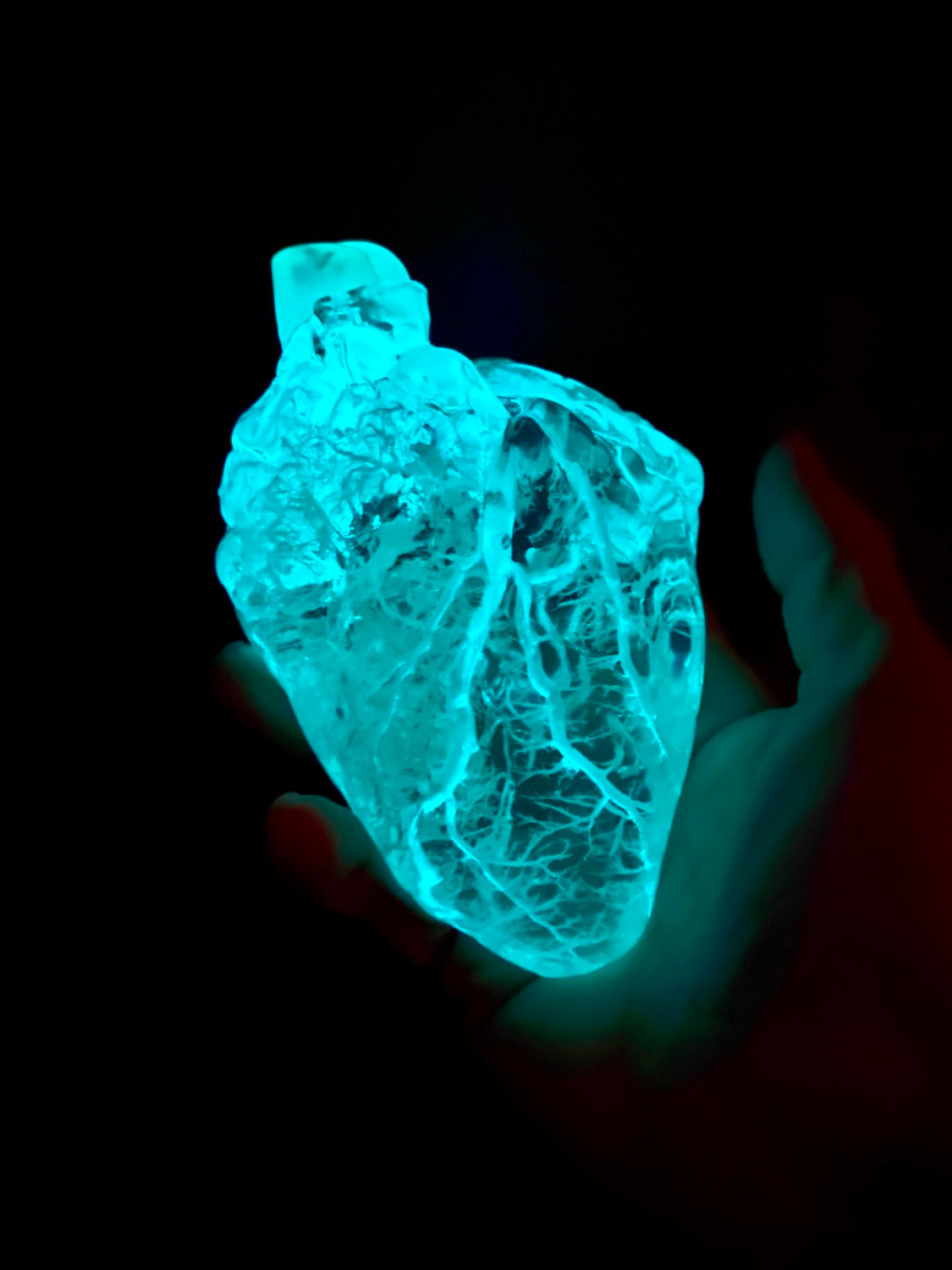 Resin embedded glow in the dark corrosion cast heart