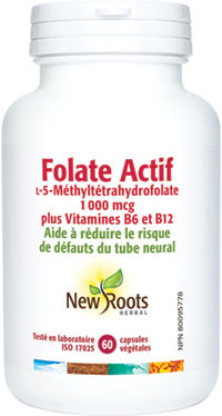 Folate Actif (B9) Capsules