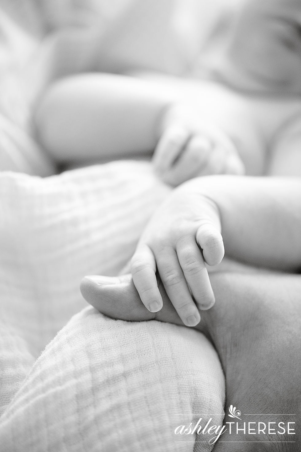 Connecticut newborn photography, in home newborn session