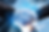 Cloud application migration services
