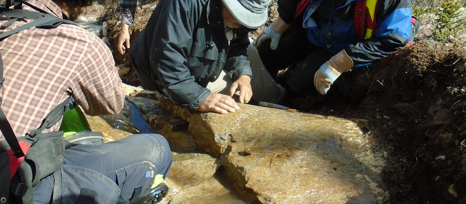 Stelmine lance sa campagne d'exploration