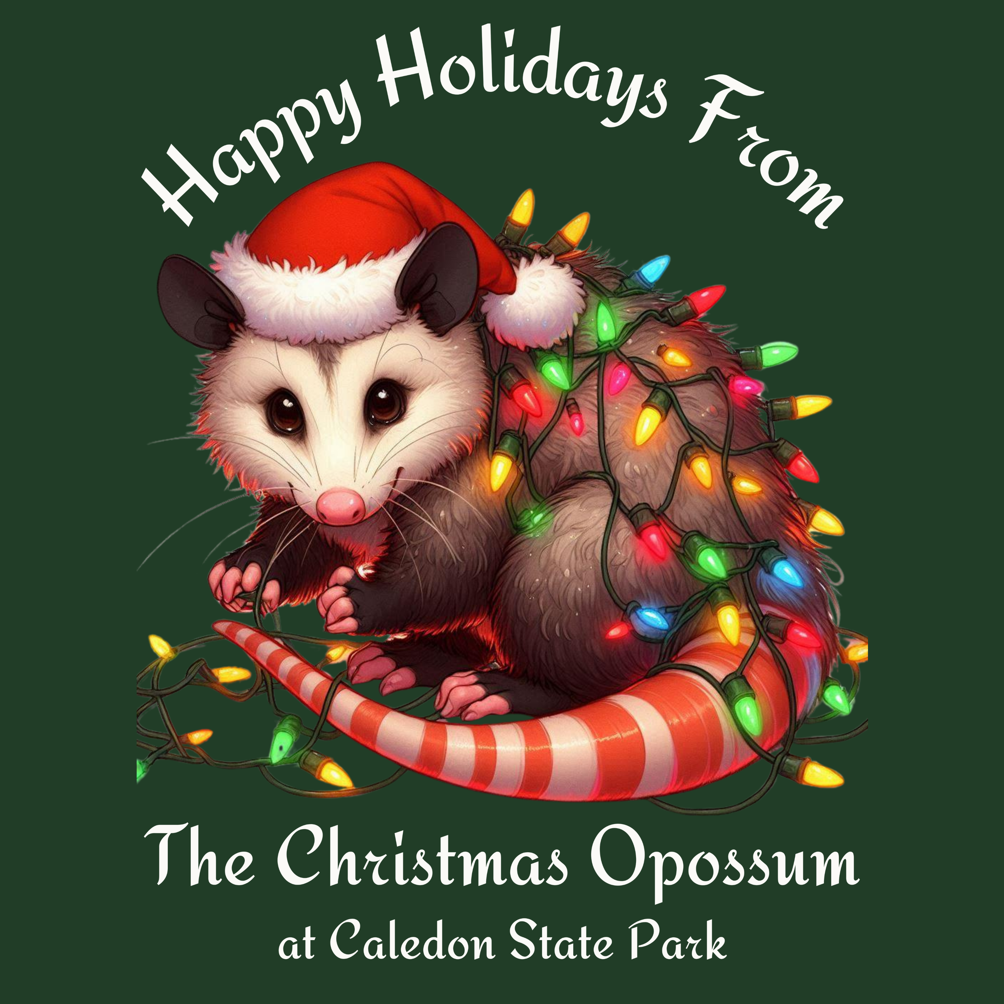 Happy Holidays from the Christmas Opossum (Price Varies)