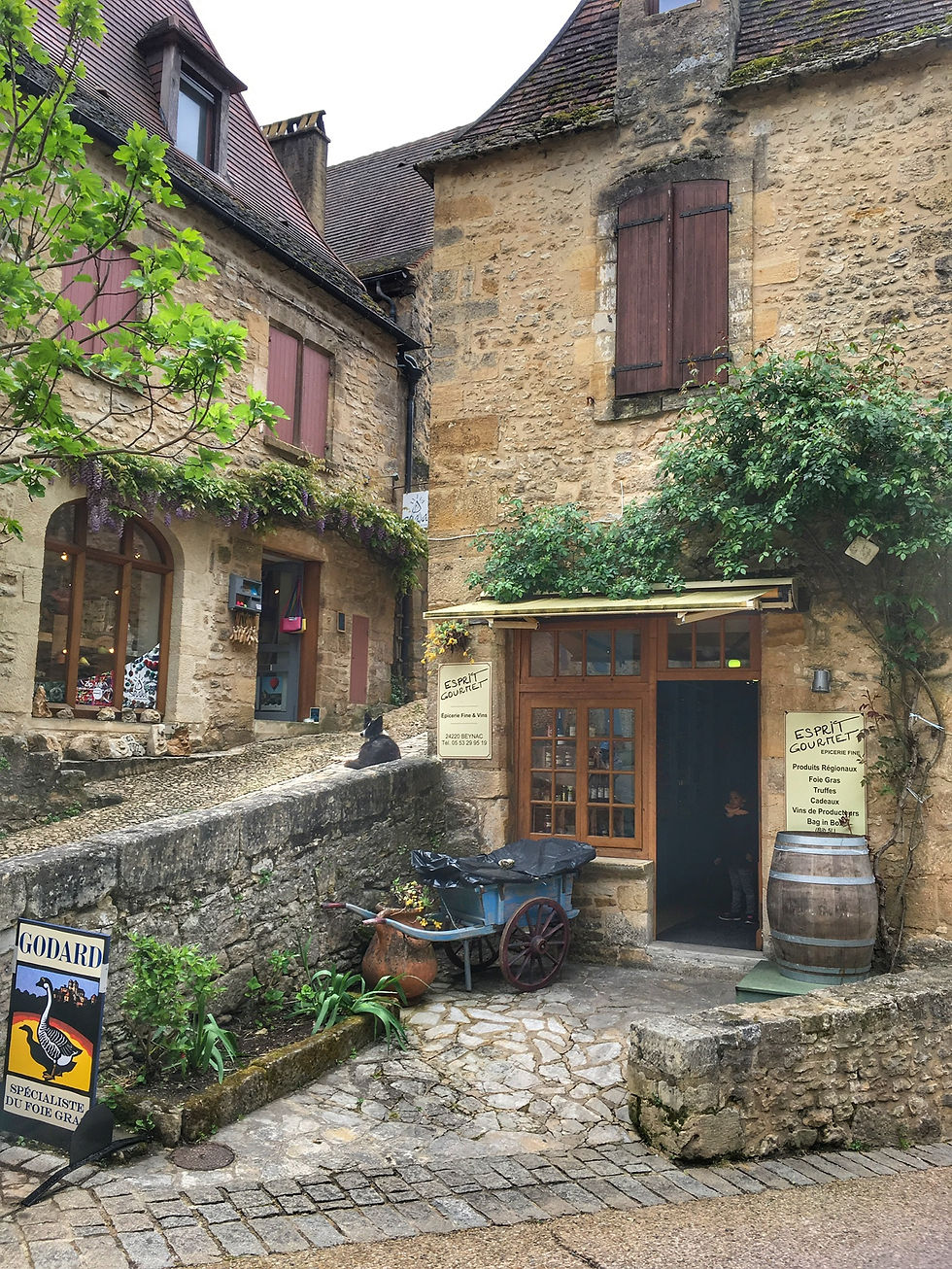 Village gems