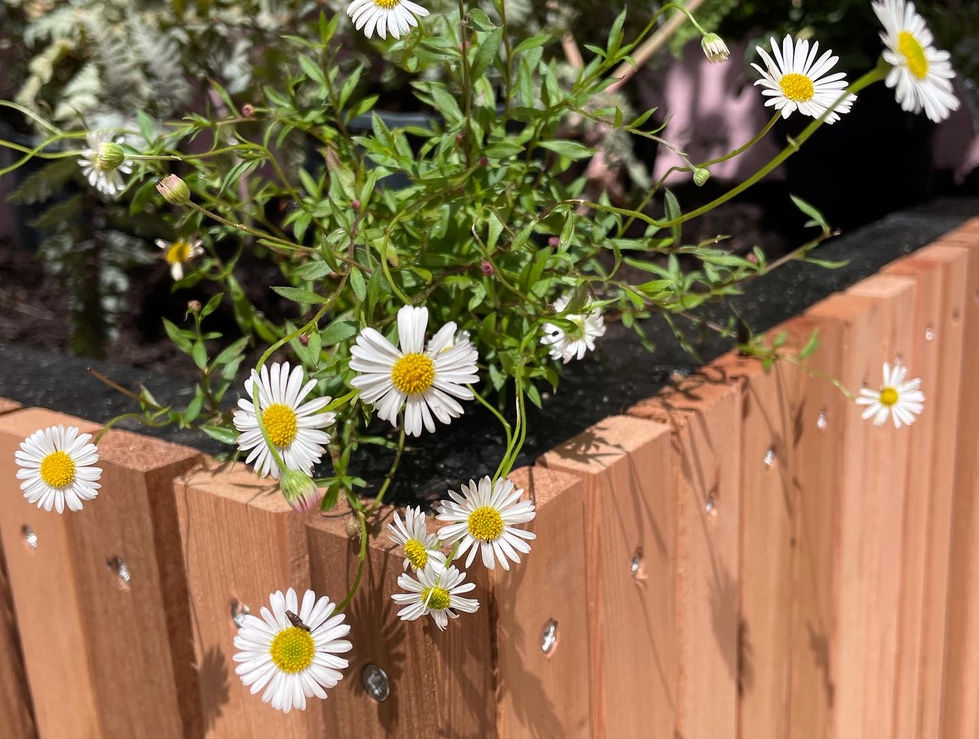 06CFCF47-C97B-44A9-BEF1-3E0C67C0F043