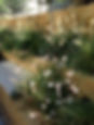Landscaping company brighton