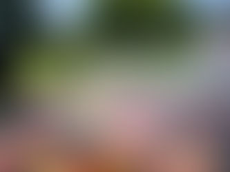 Asadito, amigos y sol