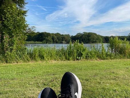 Buscar similitudes en lugar de diferencias