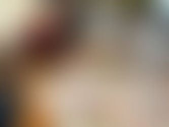 Día soleado holandés