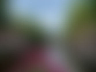 Trabajo nuevo en un país nuevo