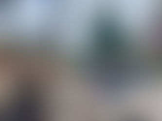 English, Dutch or French?