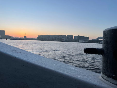 Holanda vs Argentina